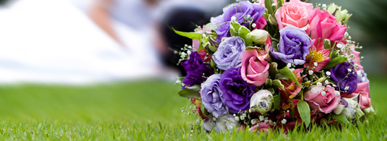 Wedding Services - Technotic Media